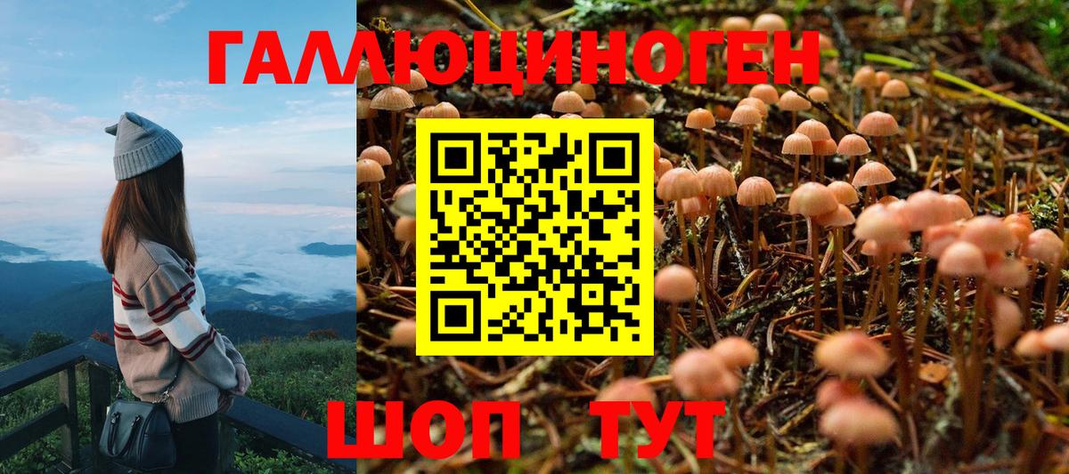 Псилоцибиновые грибы прущие грибы Южноуральск